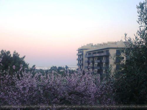 Apartaments Las Carolinas Sant Carlos de la Ràpita 外观 照片
